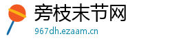 旁枝末节网